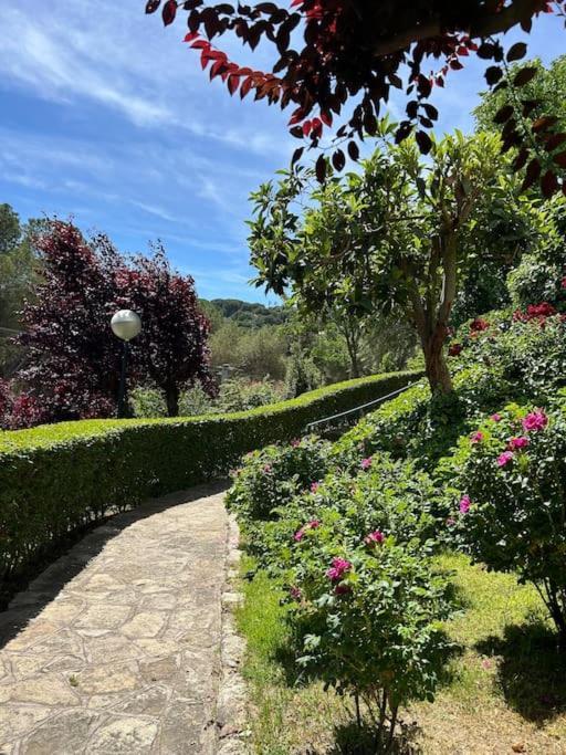 Apartamento De Lujo Vergel Suite San Martín de Valdeiglesias Esterno foto